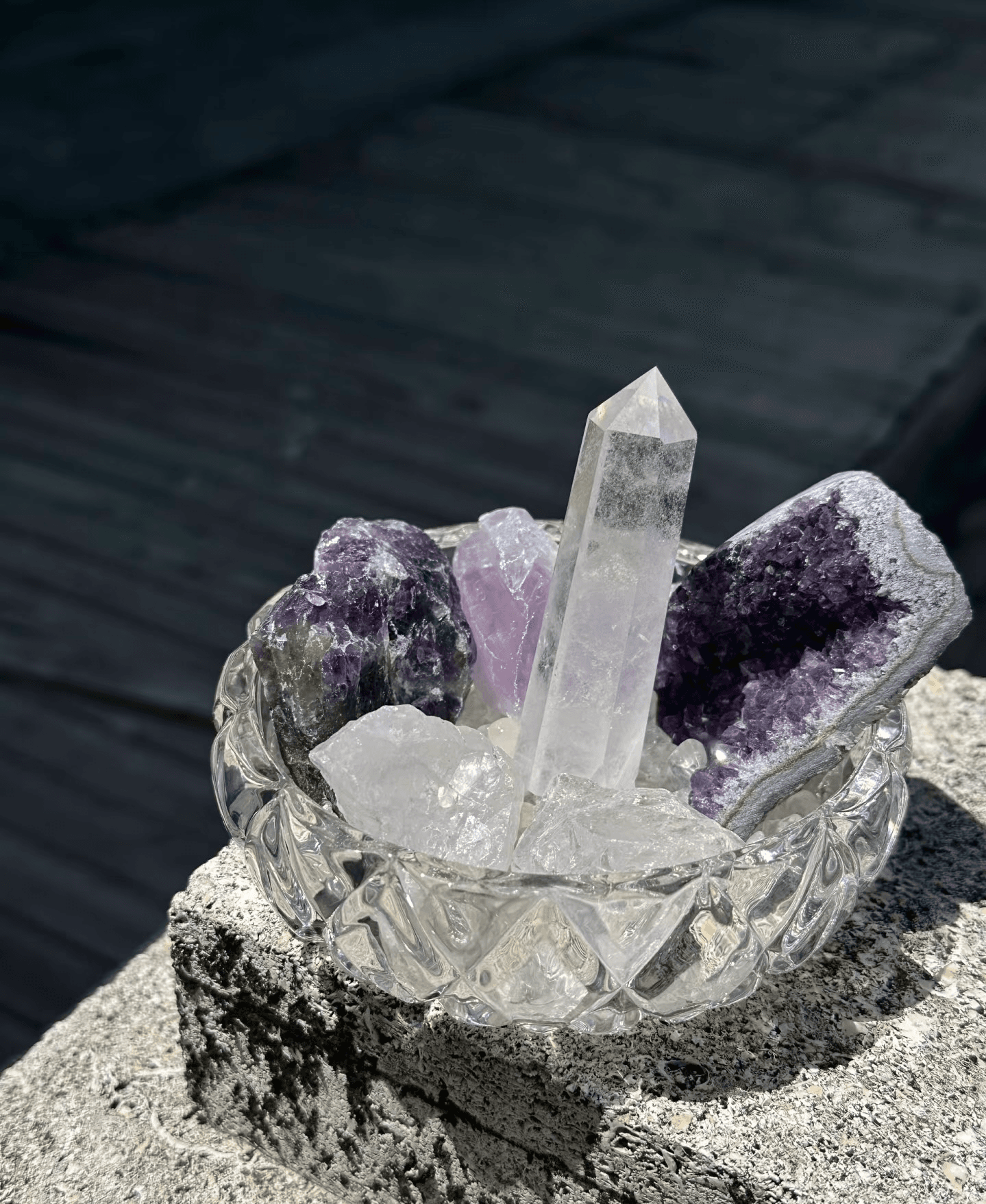 Liora Editorial Campaign